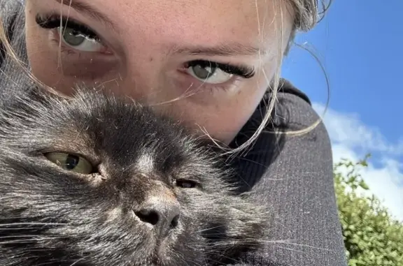 Animaux perdus Châtel-Guyon, photo: Chat noir aveugle perdu, Allée des Églantines