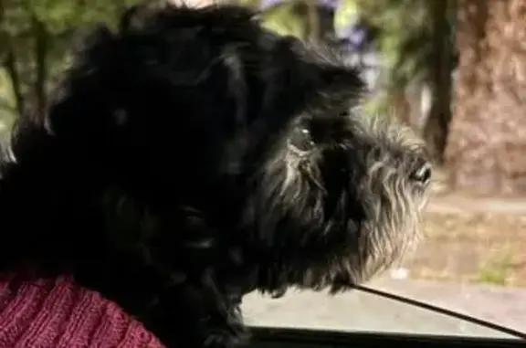 Mestiza Negra Perdida con Suéter de Reno en CDMX