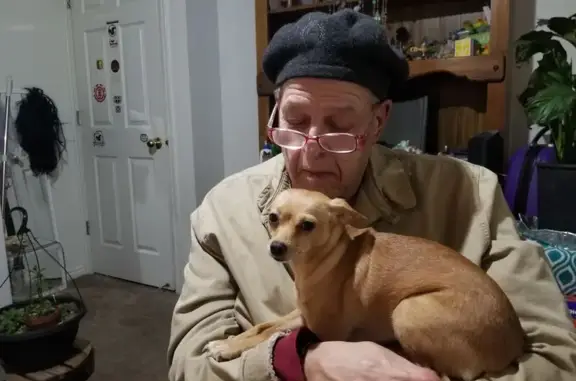 Lost and found pets Woods Cross, photo: Help Find Our Shy, Lost Dog in Woods Cross