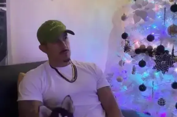 Lost pets Ocala, photo: Lost Husky Puppy: Unique Eyes & Scar