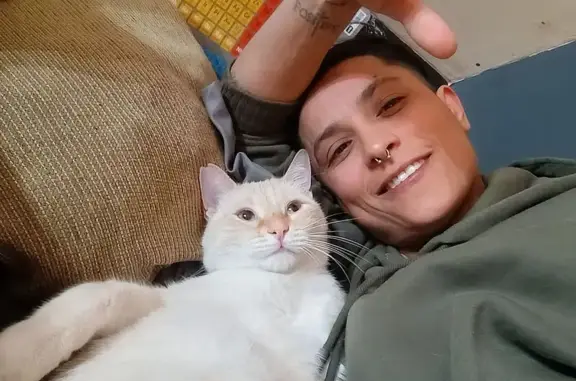 Búsqueda de mascotas, foto: Gato Perdido: Blanco y Naranja en Torrejón