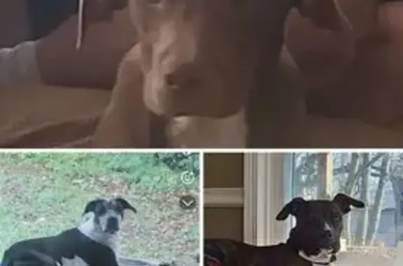 Help Find Sid, Jordy & Kratos in Keethtown! - photo