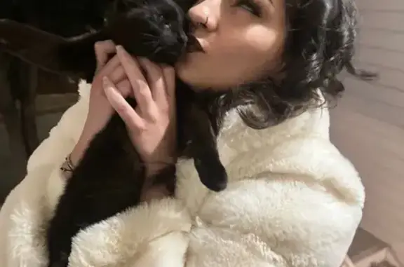 Lost female cat, Joe Creek Trail, Tulsa - black with greenish yellow eyes - photo