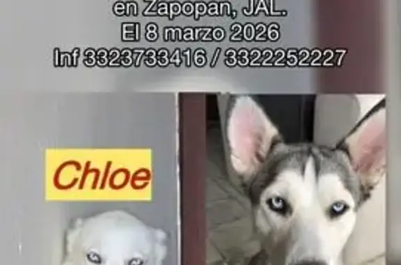 ¡Perdidas! Cloe y Sara en Zapopan