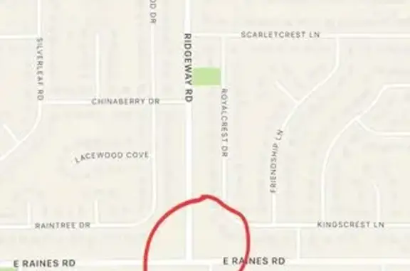 Lost and found pets Memphis, photo: Found Собака Female, Hickory Hill Road, 5191, Memphis - brown eyes, one half blue