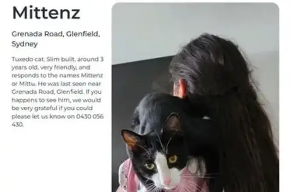 Lost pets Sydney, photo: Lost Tuxedo Cat: Mittenz in Sydney