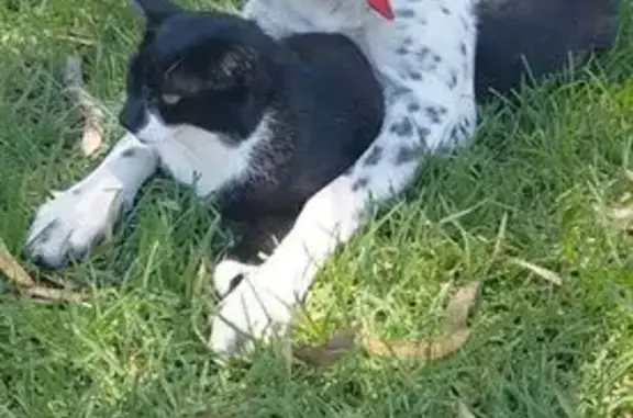 Help Find Connie: Lost Mareema...