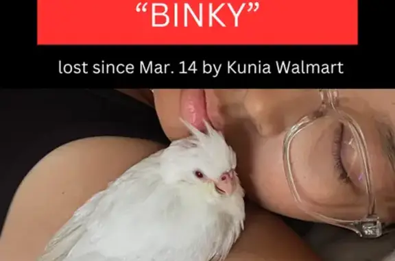 Lost Bird, Royal Kunia, Hawaii...