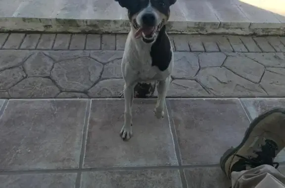 Bodeguera Linda perdida en Campillos