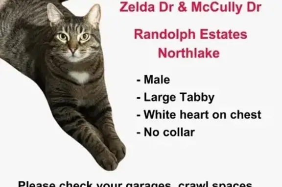Missing cat Atlanta, photo: Lost Male Cat, McCully Drive Northeast, Atlanta - Large tabby with green eyes