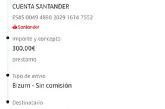 Perdido gato hembra, Cartagena: barrio Peral - photo