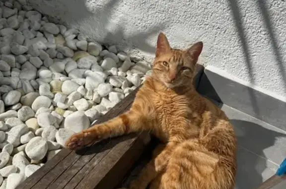 Muy timido bastante asustadizo