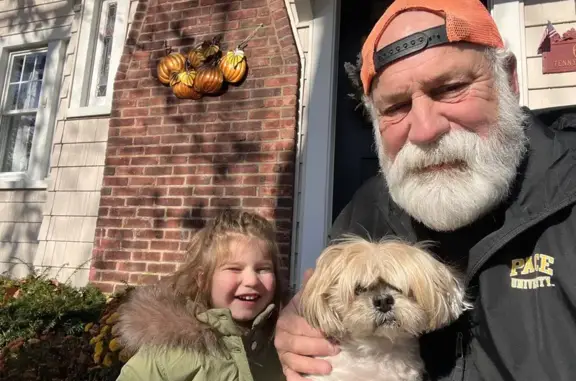 Lost male dog, Tennyson Avenue, Baldwin - white and tan, 15 years old - photo