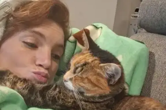Chat perdu, Le Chambon-Feugerolles, photo: Chat perdu, femelle, Avenue du Président Charles de Gaulle, Le Chambon-Feugerolles - rousse et noire