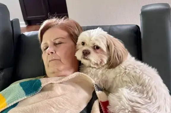 Missing dog Female, Sevierville (usl534662) - photo