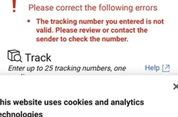 Lost female dog, South Sossaman Road, 1342, Mesa - small tan with pink bling collar - photo