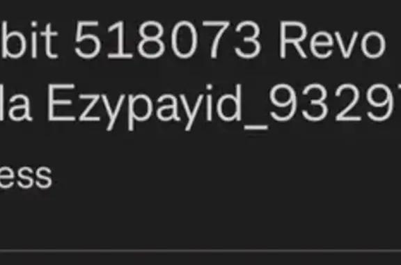 Light orange long hair with tabby markings we last saw her on Sunday night when we went on a walk she followed us for a lil then went away towards home haven’t seen her since