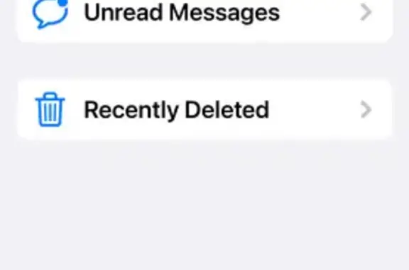 Lost female dog, West 8th Street, Weslaco - black and white Yorkie mix - photo