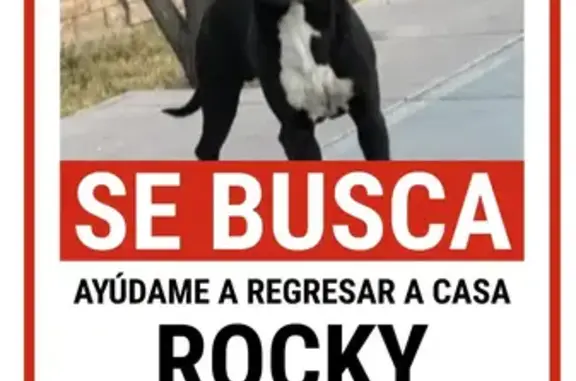 Perdido perro, Haciendas Campe...