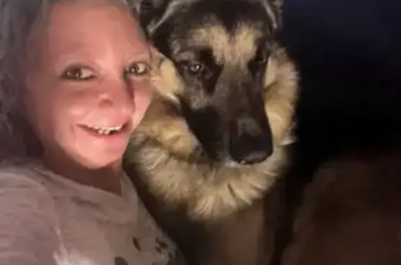 Lost dog, Mosley, AR 72834, USA, Tulsa - male, black collar, possibly still attached to a leash - photo