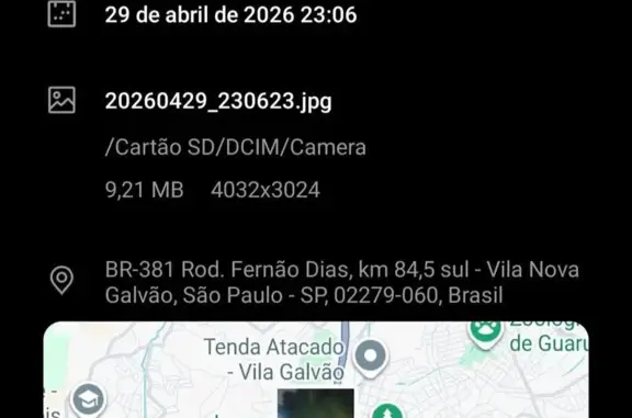 Cachorro encontrado Macho (brf...