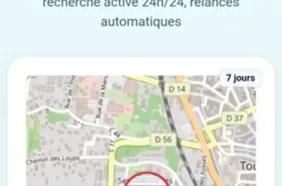 Chat perdu, Rue de l'Arc En Ciel, Tournus - femelle, handicapée du train arrière - photo