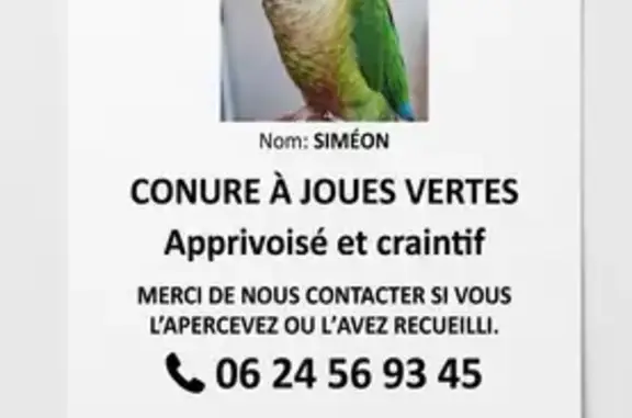 Perdue oiseau, Chemin de la Va...