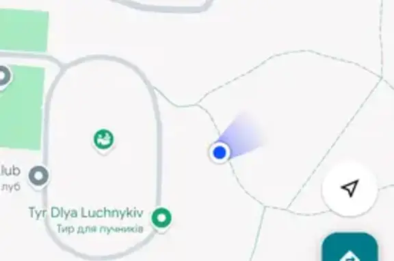 Знайдено кішку Львів, фото: Знайдена кішка, вулиця Володимира Янева, 28б, Львів — невелика, з червоним нашийником