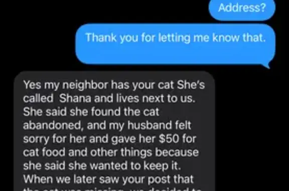 Lost pets Sierra Vista, photo: Lost cat, Whetstone, Sierra Vista - male, orange and white