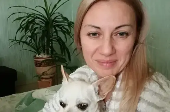 Зникла собака, вулиця Доктора Пирогова, 5, Коломия — маленька ляклива - photo
