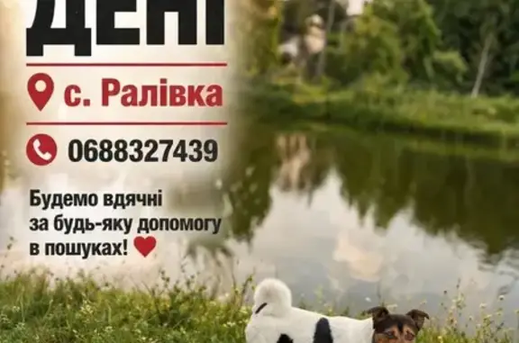 Зникла собака, Ралівка - photo