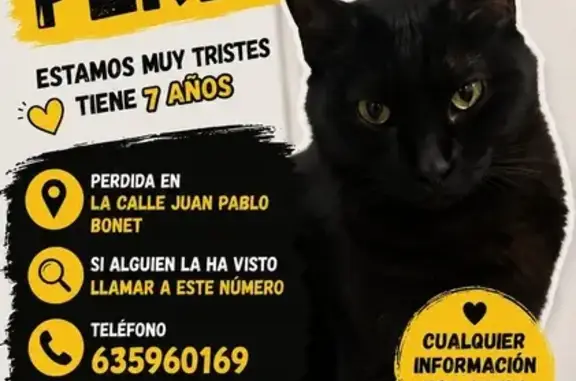 Negrita es una gata negra es muy buena y está castrada desapareció el 30 de julio de casa.
