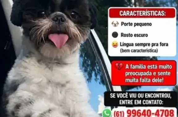 Perdido cachorro macho, Expans...