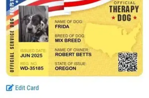 Missing dog Bend, photo: Lost dog, Northwest Idaho Avenue, 231, Bend