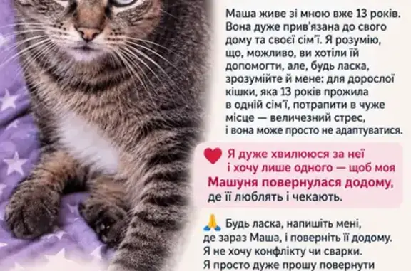 Зникла кішка, Голосіївський пр...