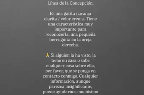 Gato perdido, hembra, Avenida Punto Ribot, 6, La Línea de la Concepción — color naranja claro - photo
