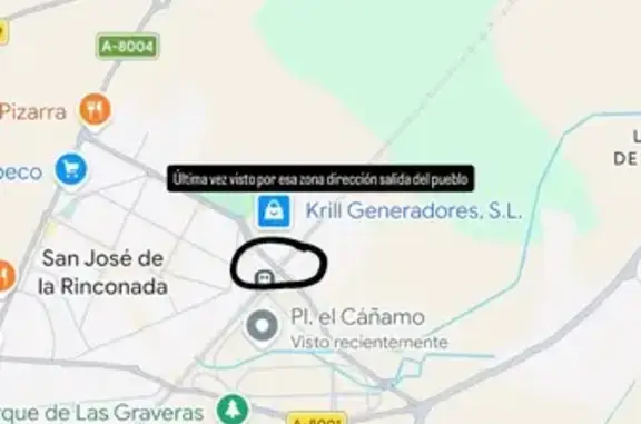 Perro perdido, Calle James Watt, 710, La Rinconada - photo