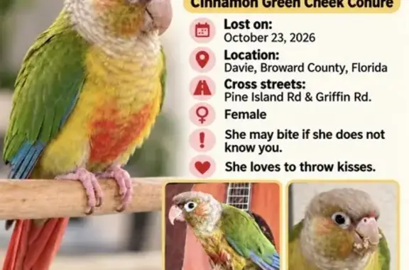 Lost Bird, Southwest 41st Cour...