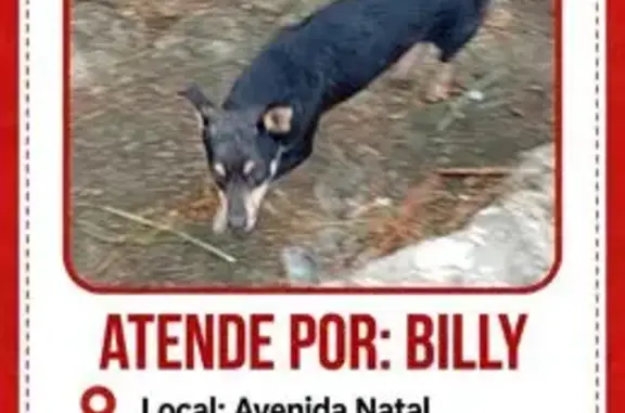 Preto e cor caramelo